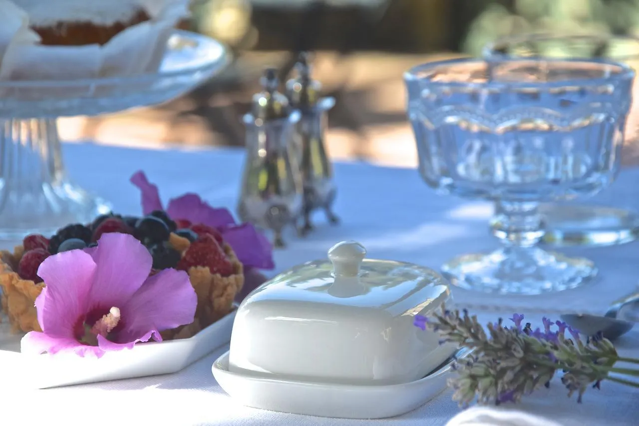 Palazzina Del Chiasso Bed & Breakfast San Martino in Freddana